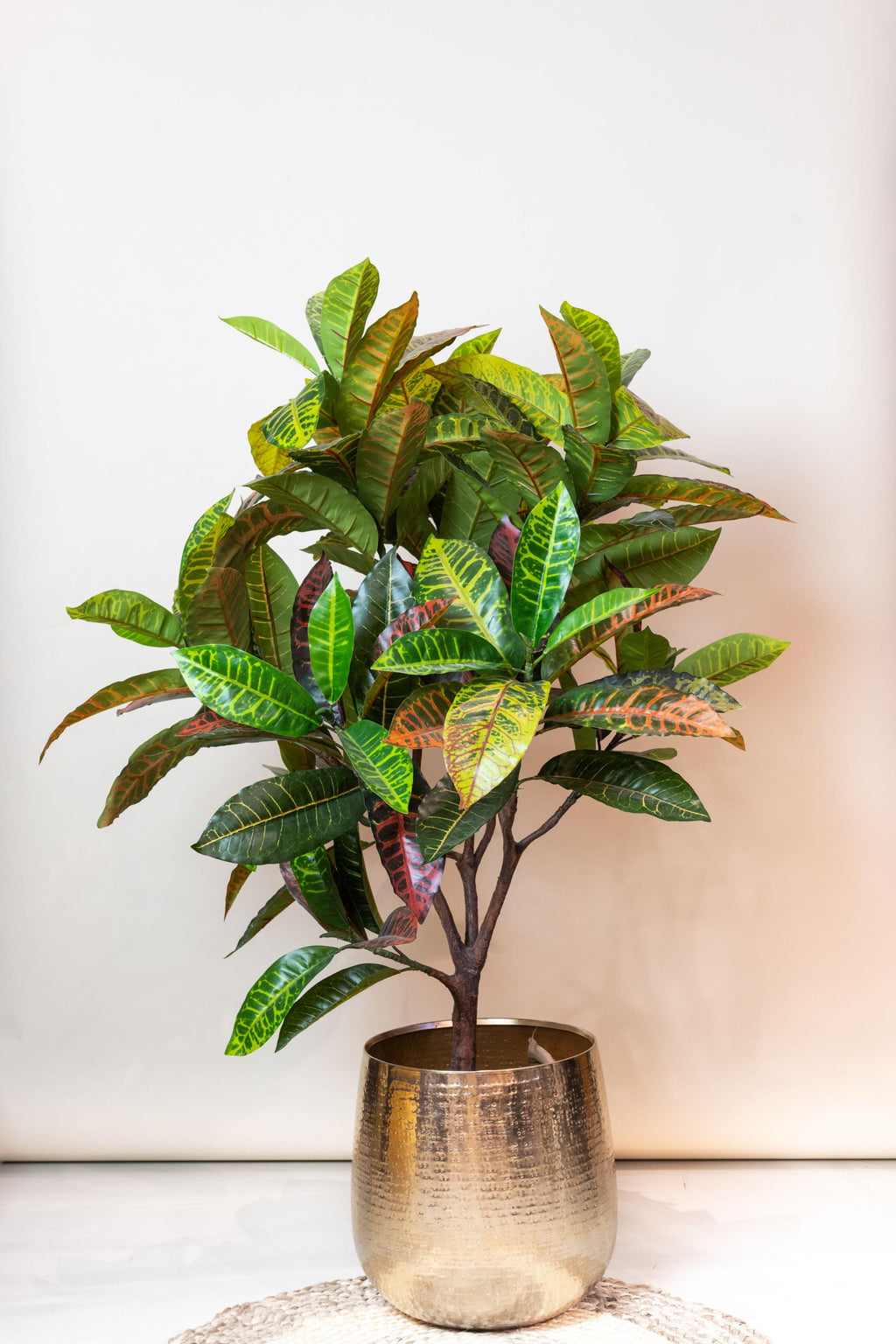 Plante artificielle - Croton Codiaeum - Croton - 120 cm