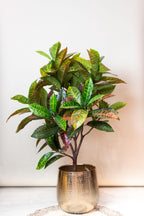 Plante artificielle - Croton Codiaeum - Croton - 120 cm