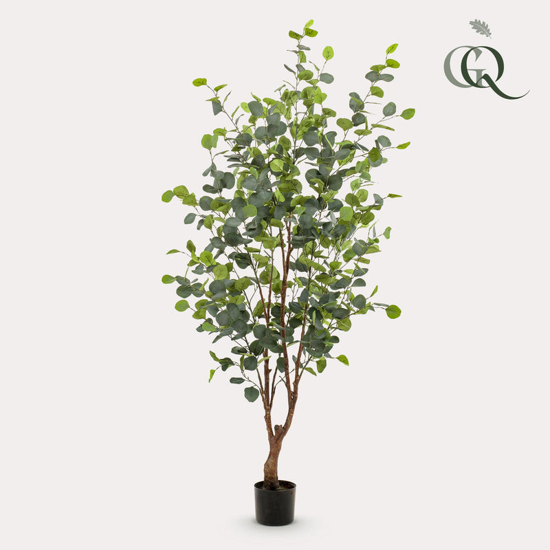 Kunstplant - Eucalyptus - Blauwe Gomboom  - 140 cm