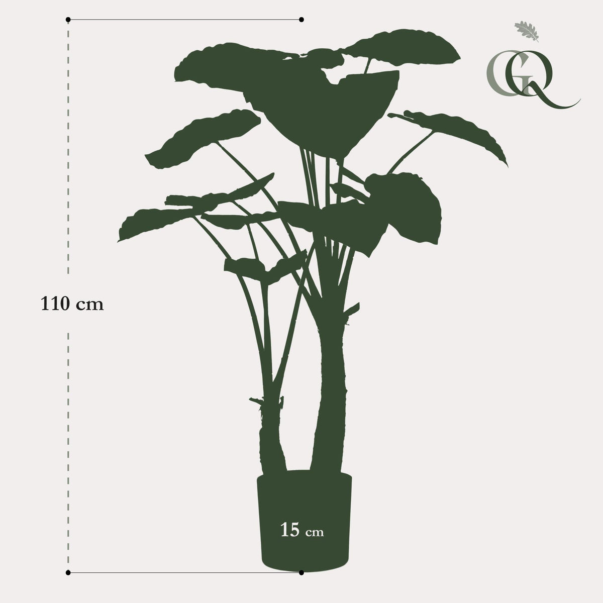 kunstplant - Alocasia - Olifantsoor - 110cm