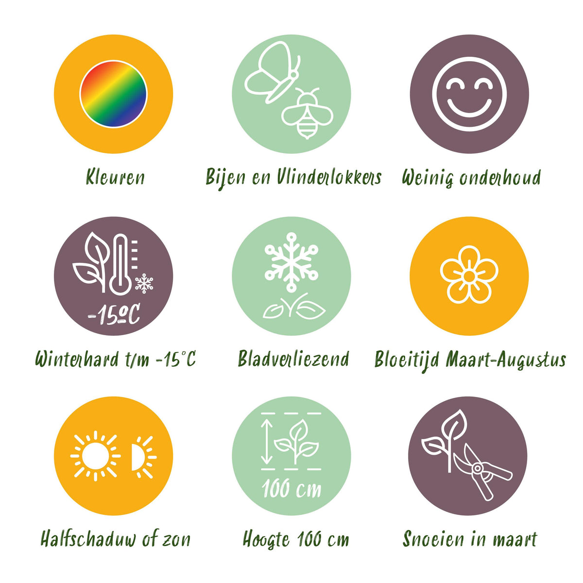 Green boutiQ - Borderpakket - Bijen en Vlinderlokkend - 8 Vaste planten - 1 m2 - Diversen kleuren - Weinig Onderhoud - Pot 11cm