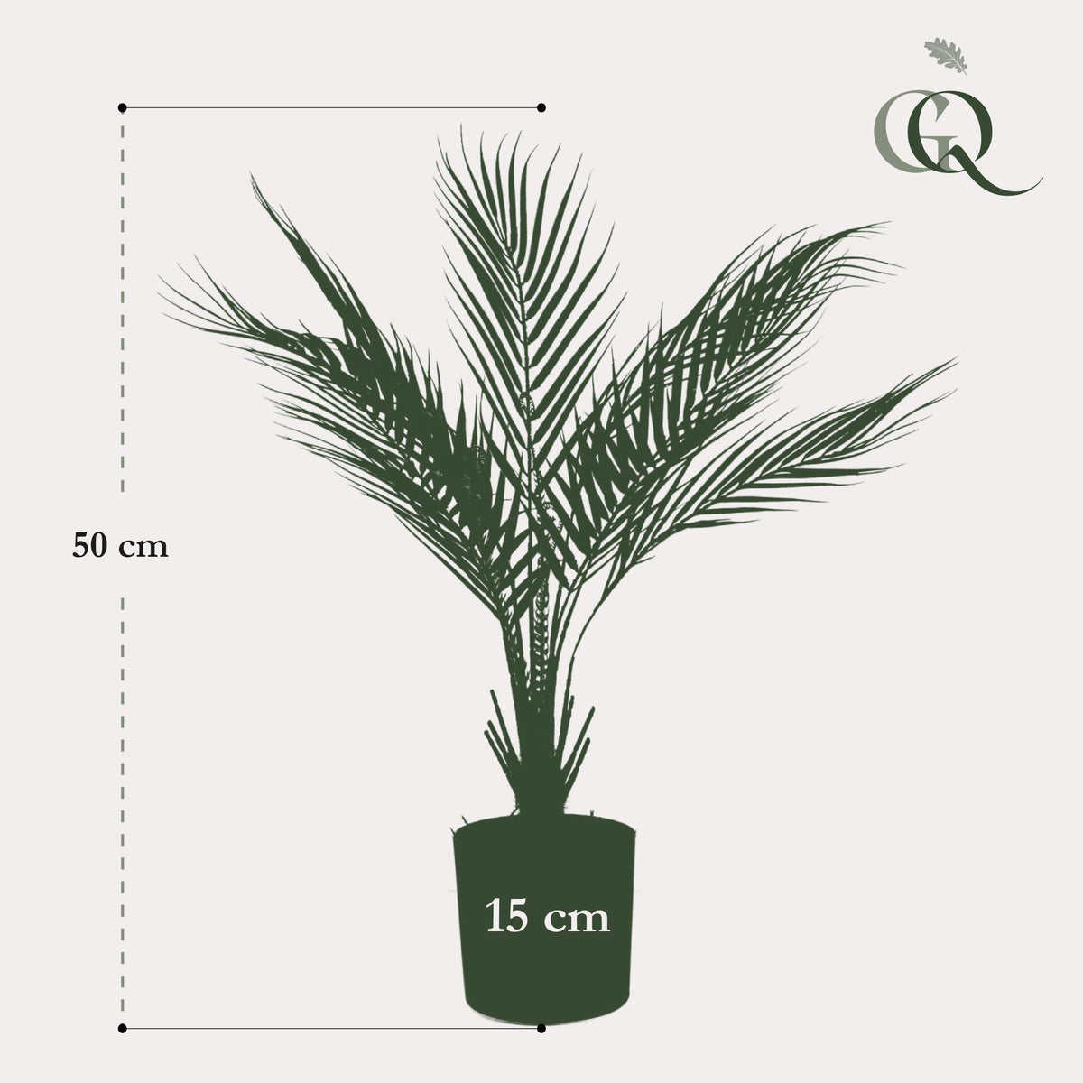Chamaedorea Elegans- Bergpalme - 50 cm -kunstpflanze