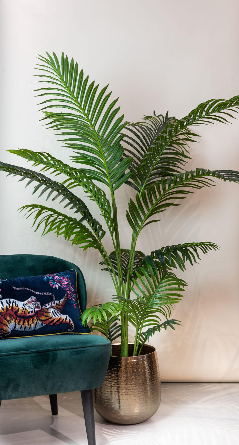 Howea Forsteriana - 160 cm - kunstpflanze