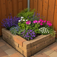 Green boutiQ - Borderpakket - Bodembedekkend - 8 Vaste planten - 1 m2 - Diversen kleuren - Weinig Onderhoud - Pot 11cm