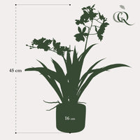 Kunstplant - Orchidee - Wit - 45cm