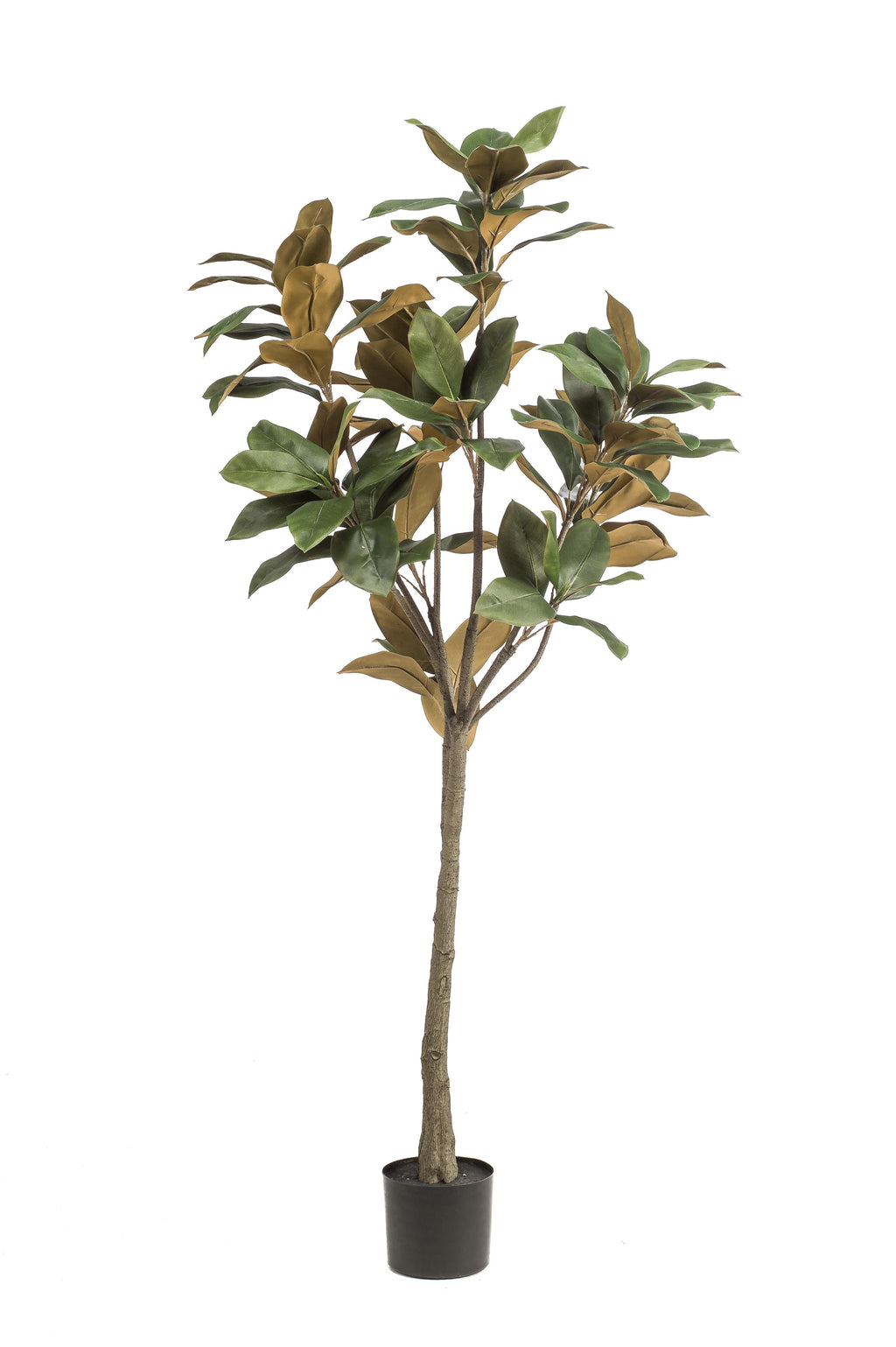 Plante artificielle - Magnolia Grandiflora - 150 cm