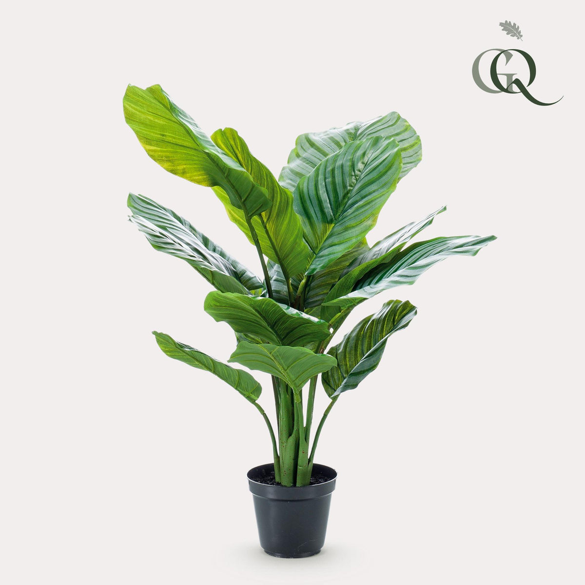 Kunstplant - Calathea Orbifolia - Schaduwplant - 60 cm