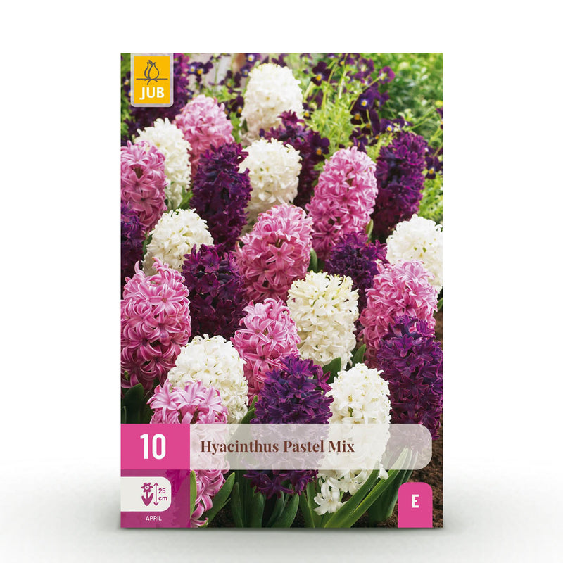 Green boutiQ - Bloembollen - Hyacinth Pastel mix - Diversen Pastel Kleuren - 10 stuks - Bolmaat 14/15 - XXL Pack