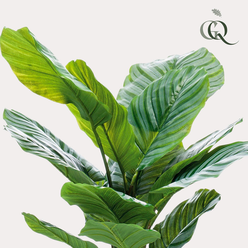 Kunstplant - Calathea Orbifolia - Schaduwplant - 60 cm