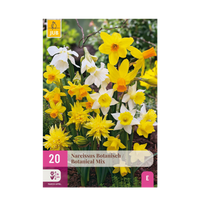Green boutiQ - Bloembollen - Narcis Botanical mix - Kleur Geel en Wit - 20 stuks - Bolmaat 10/12 - XXL Pack