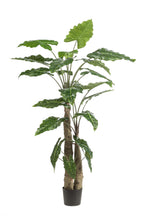 Plante artificielle - Alocasia - Oreille d'éléphant - 180 cm