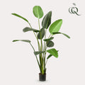 Plante artificielle - Strelitzia Nicolai - Oiseau de paradis - 230 cm