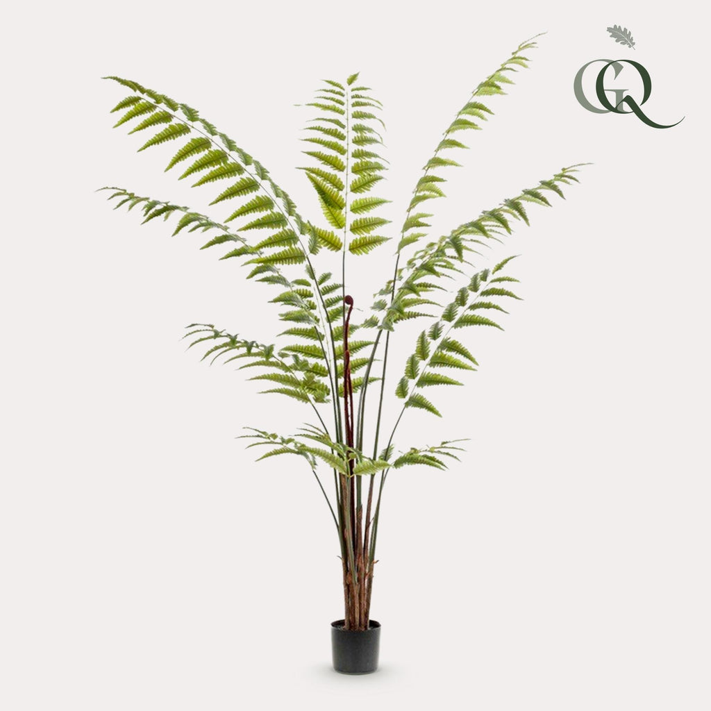 Plante artificielle - Rumohra Adiantiformis - Fougère de cuir - 180 cm