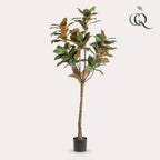 Plante artificielle - Magnolia Grandiflora - 150 cm