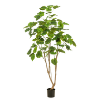 Kunstplant - Ficus umbellate - Afrikaanse vijg - 180cm