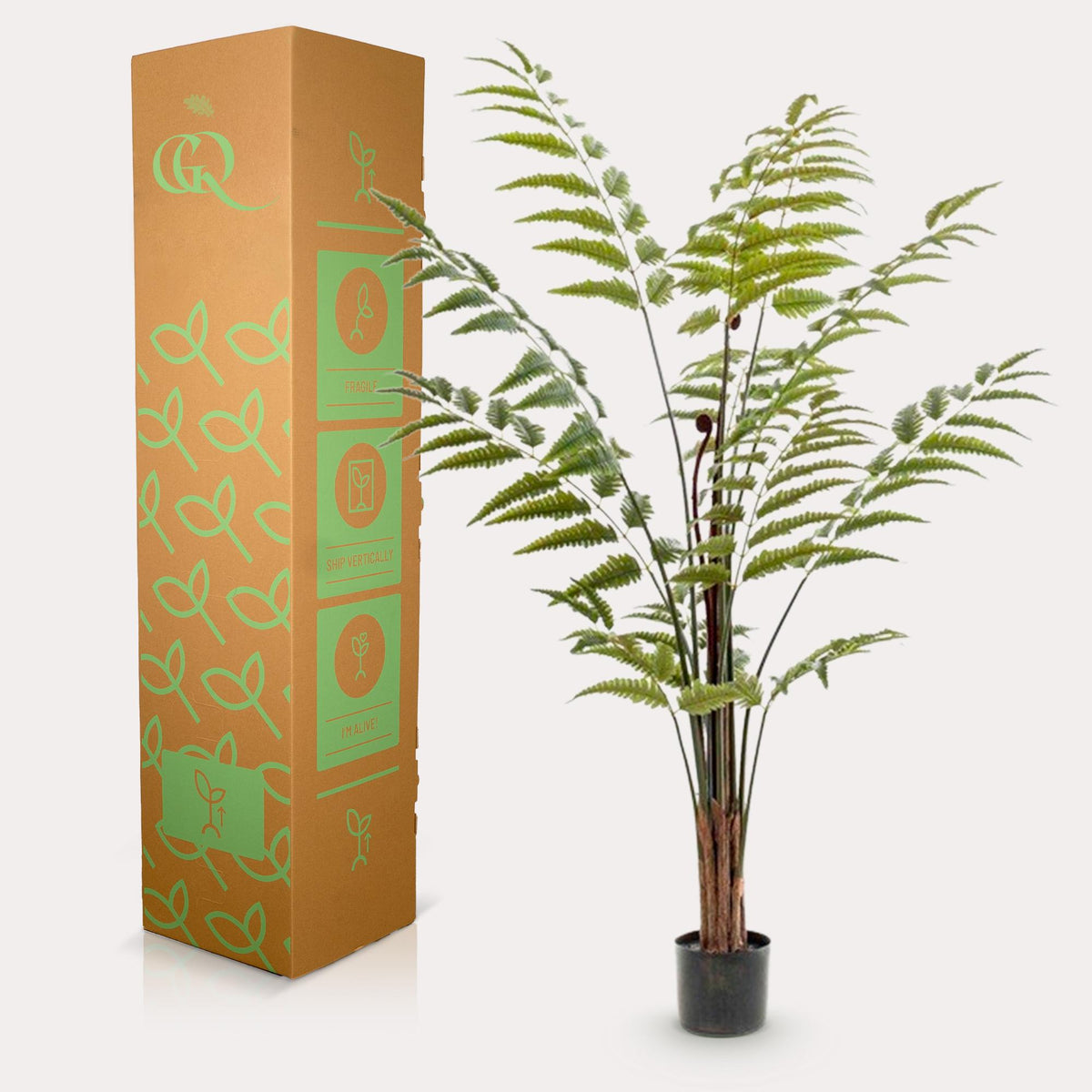 Plante artificielle - Rumohra Adiantiformis - Fougère de cuir - 150 cm