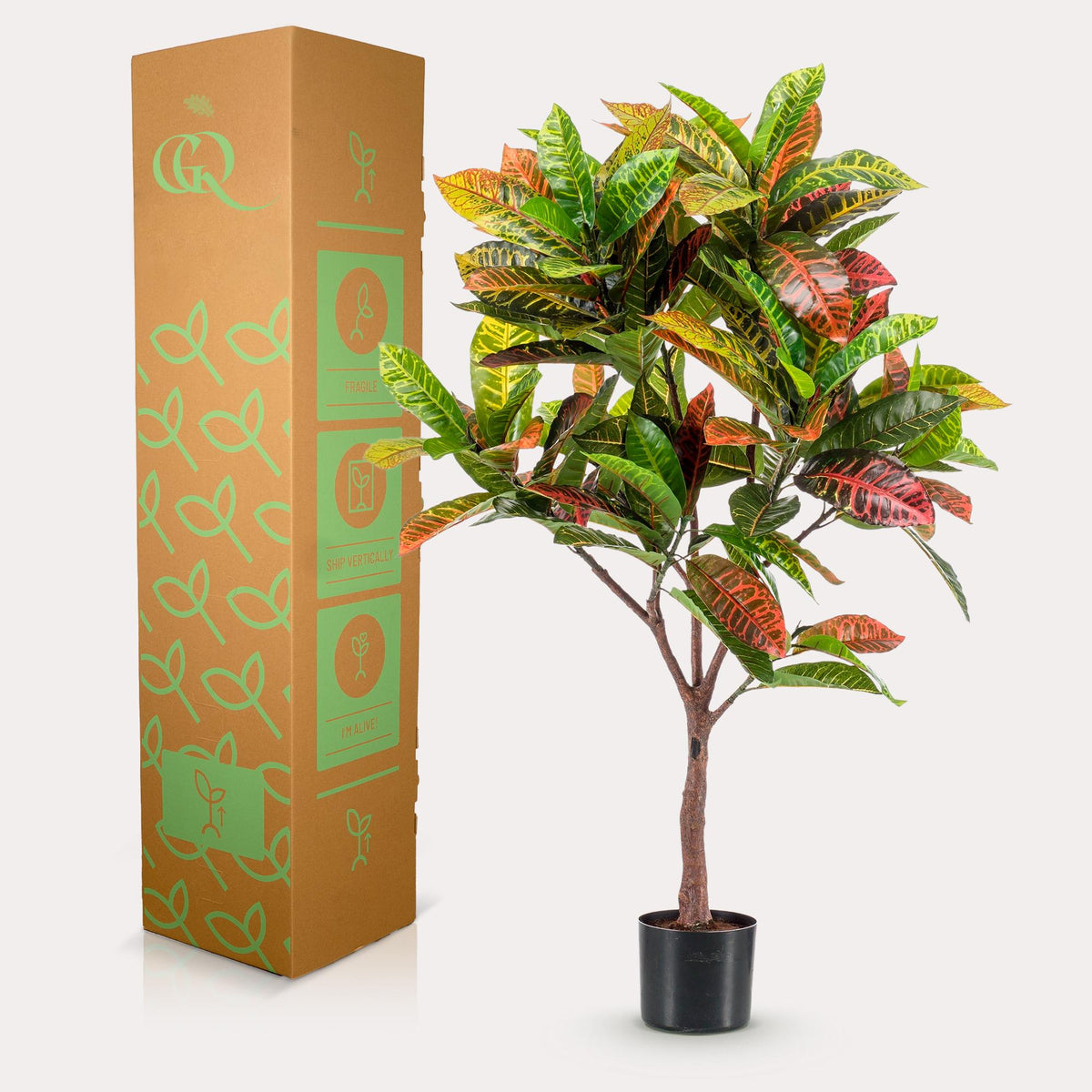 Plante artificielle - Croton Codiaeum - Croton - 120 cm