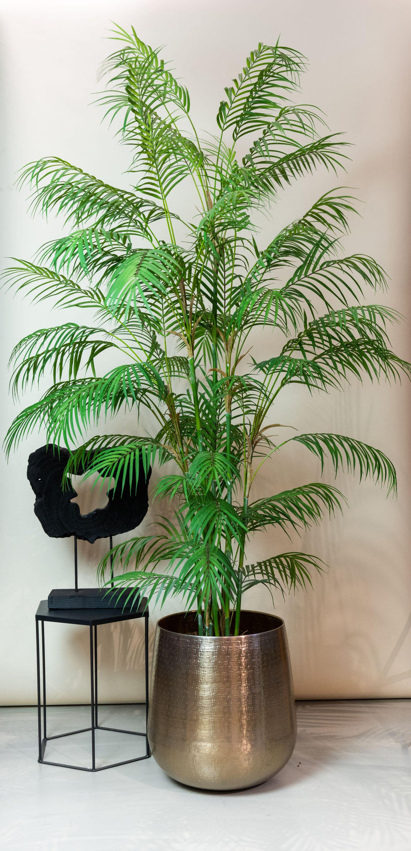 Kunstplant - Chamaedorea Elegans - Bergpalm - 180 cm