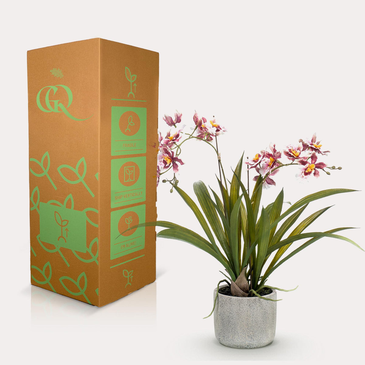 Plante artificielle - Orchidée - Bordeaux - 45cm