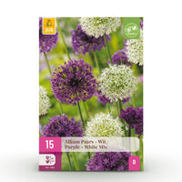 Green boutiQ - Bloembollen - Allium Purple White Mix - Kleur Paars en Wit - 15 stuks - Bolmaat 10/12 - XXL Pack