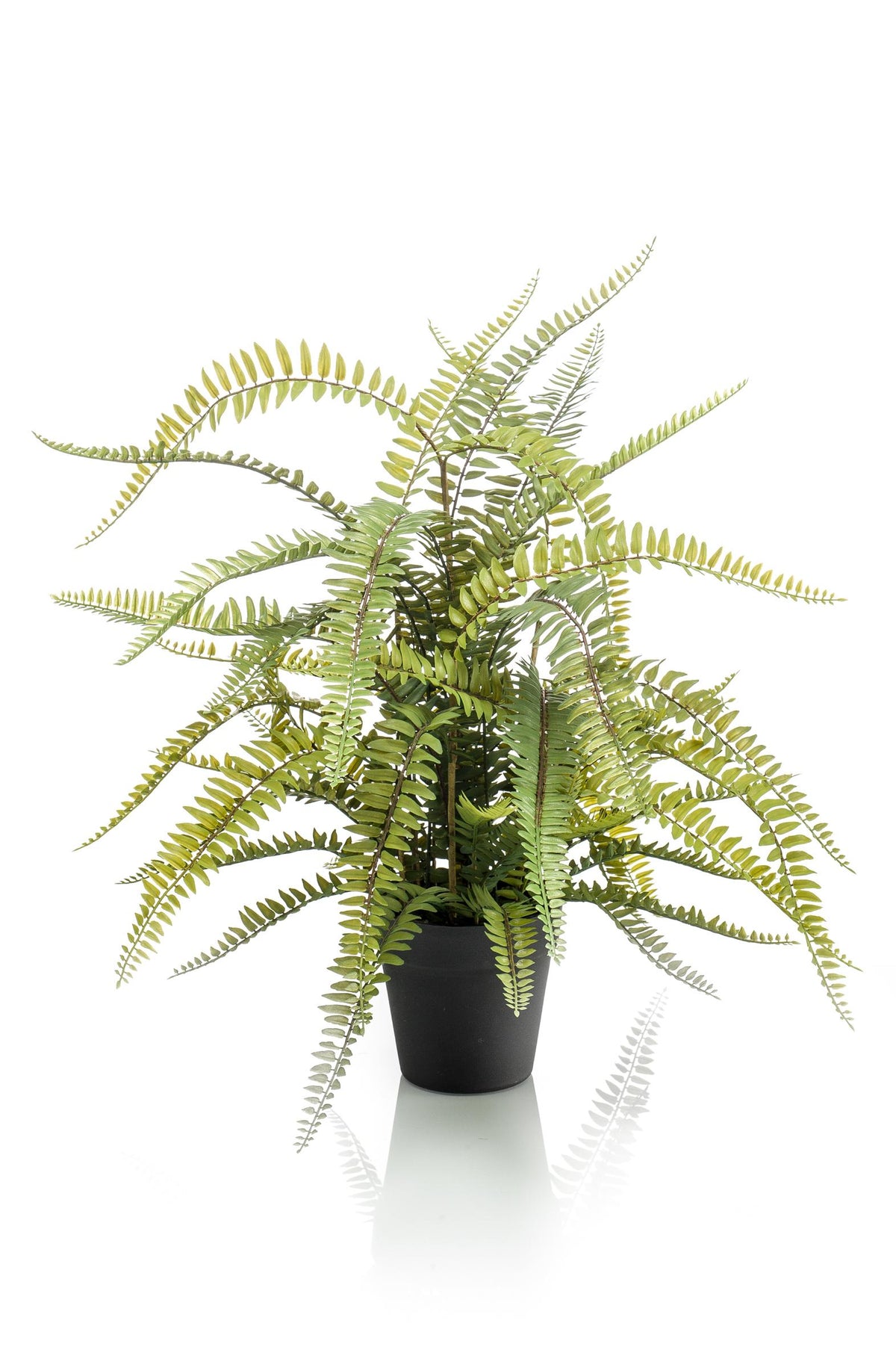 Nephrolepis Exaltata - Boston Farn - 70 cm - kunstpflanze