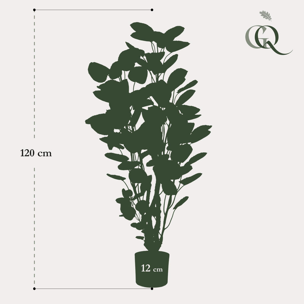 Plante artificielle - Polyscias - Aralia - 105 cm