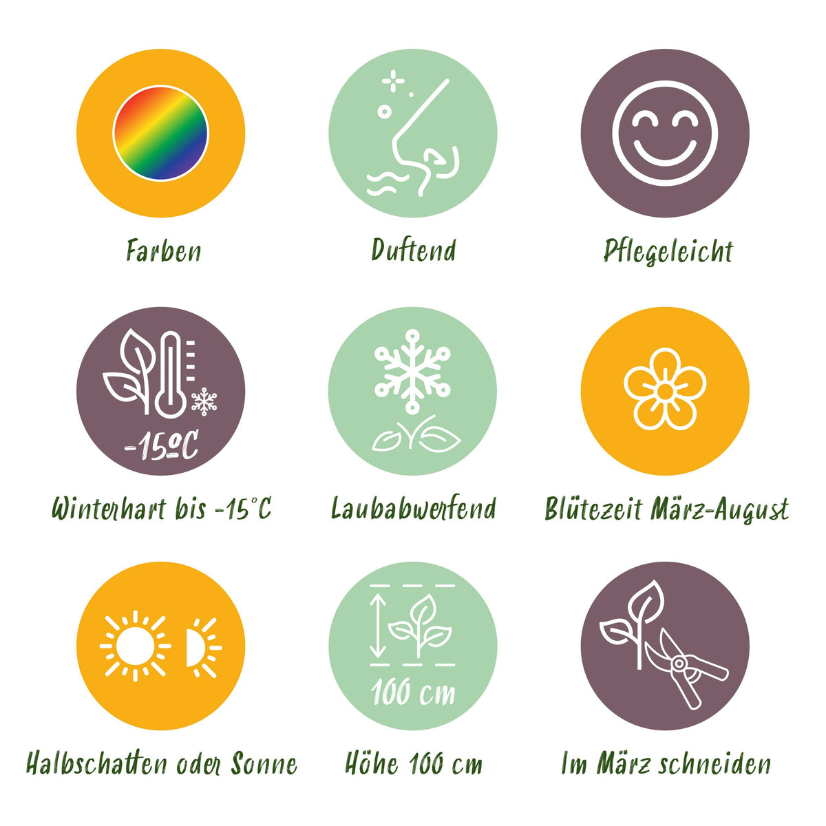 Green boutiQ - Borderpakket - Geurend - 8 Vaste planten - 1 m2 - Diversen kleuren - Weinig Onderhoud - Pot 11cm