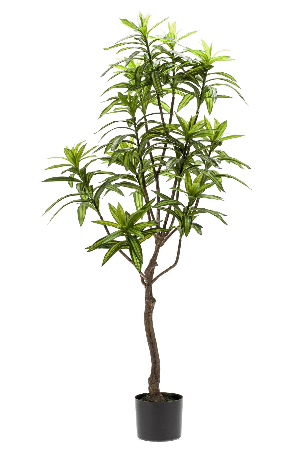Dracaena - Drachenbaum - 130 cm - kunstpflanze