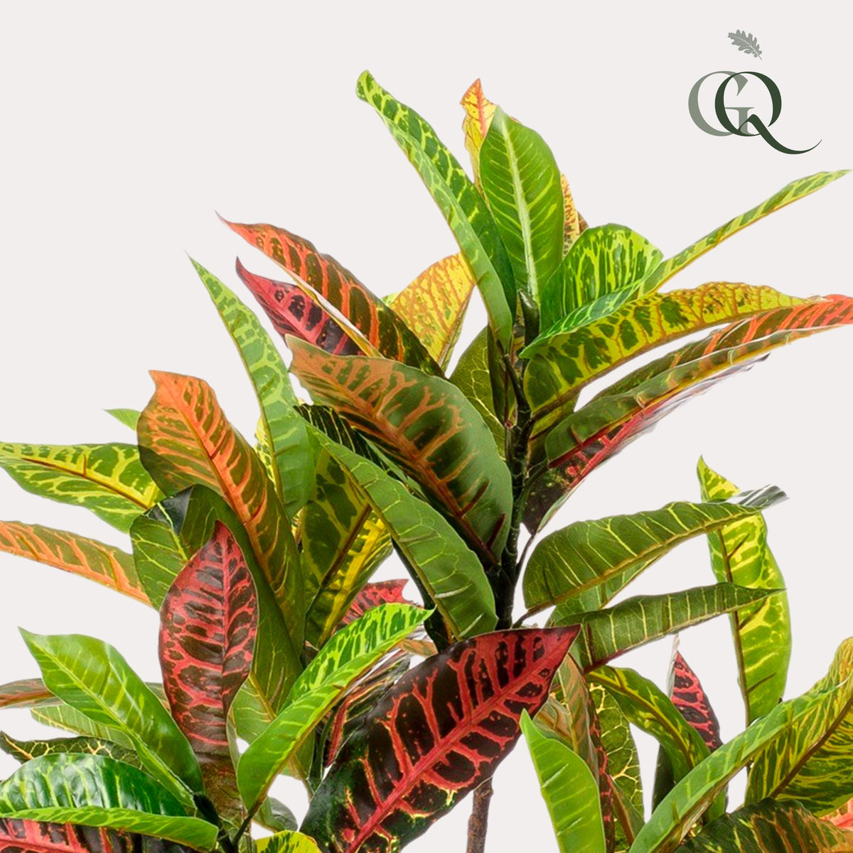 Plante artificielle - Croton Codiaeum - Croton à feuilles variées - 95 cm
