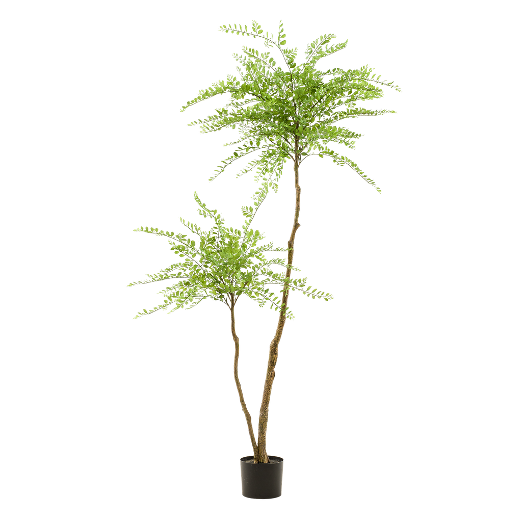 plante artificielle - Sophora - Arbre à miel - 190 cm