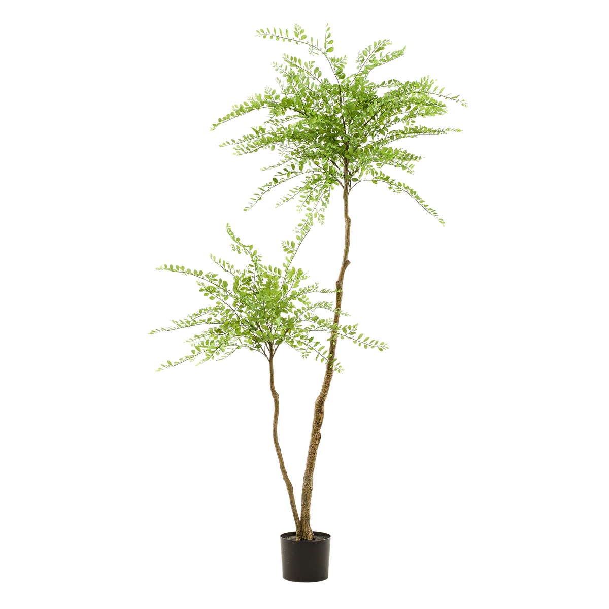 plante artificielle - Sophora - Arbre à miel - 190 cm