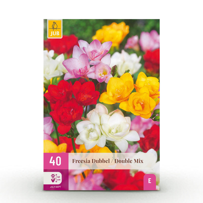 Green boutiQ - Bloembollen - Freesia Double Mix - Diversen Kleuren - 40 stuks - Bolmaat 5/6 - XXL Pack