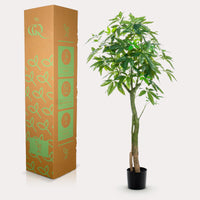 Pachira Aquatica - Glückskastanie - 150 cm - kunstpflanze