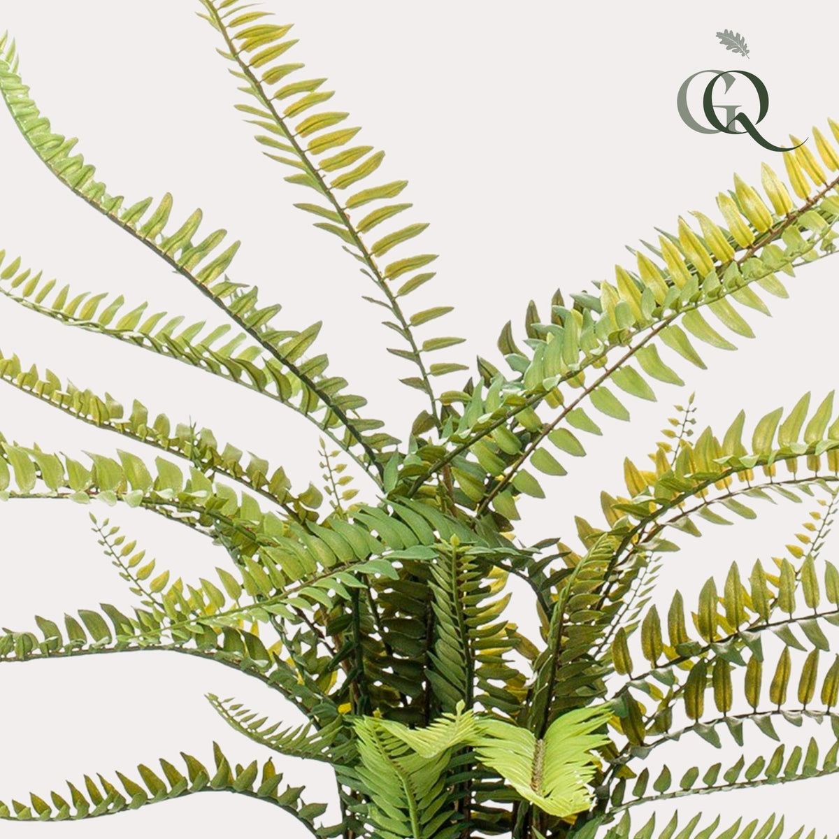 Nephrolepis Exaltata - Boston Farn - 55 cm - kunstpflanze
