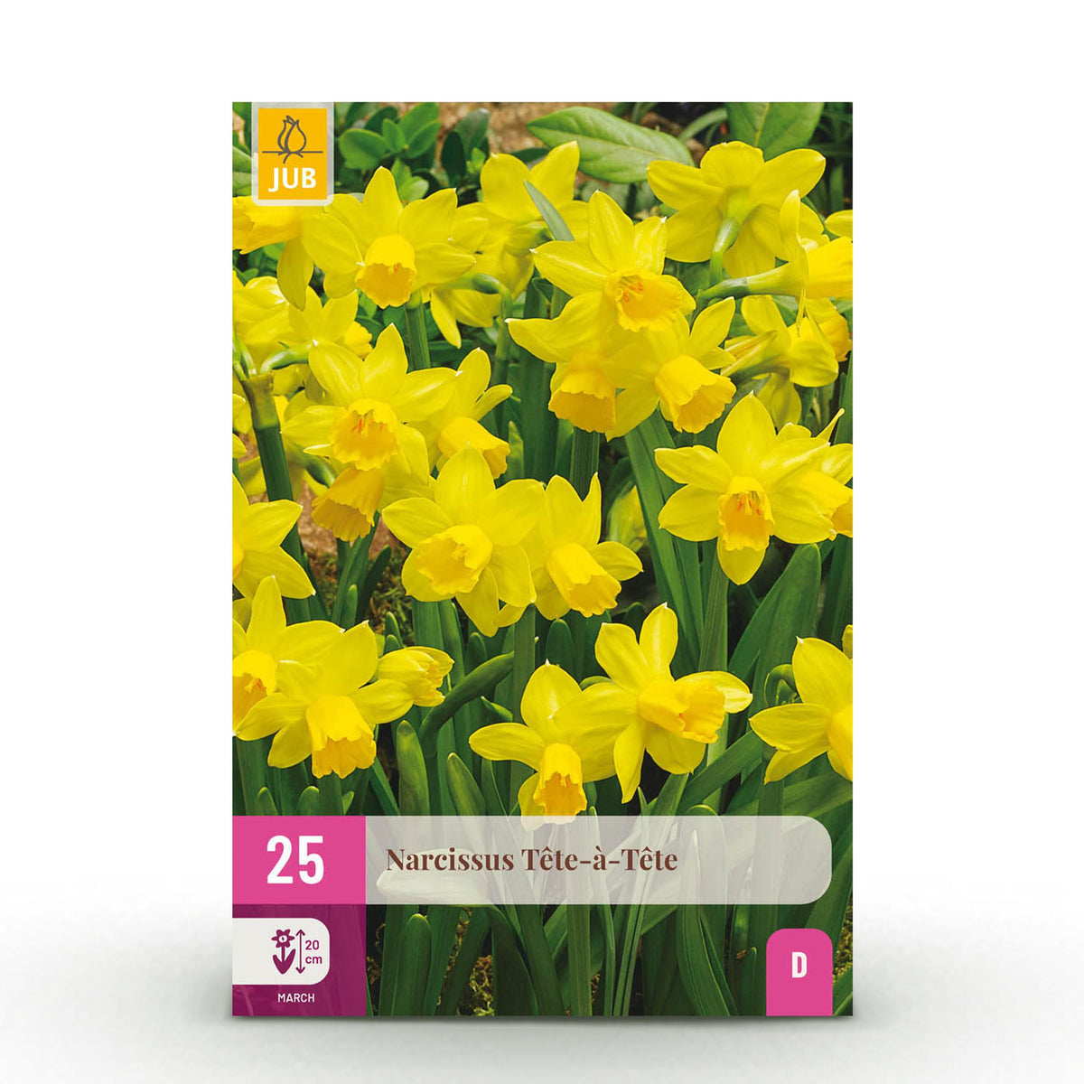 Green boutiQ - Bloembollen - Narcis Tete-A-Tete - Kleur Geel - 50 stuks - Bolmaat 10/12