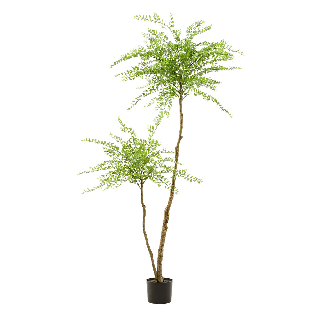plante artificielle - Sophora - Arbre à miel - 190 cm