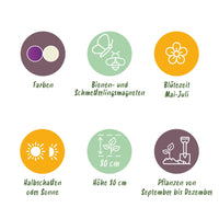 Green boutiQ - Bloembollen - Allium Purple White Mix - Kleur Paars en Wit - 15 stuks - Bolmaat 10/12 - XXL Pack