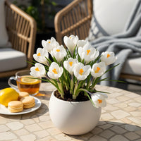 Green boutiQ - Bloembollen - Crocus White - Kleur Geel - 30 stuks - Bolmaat 7/8 - XXL Pack