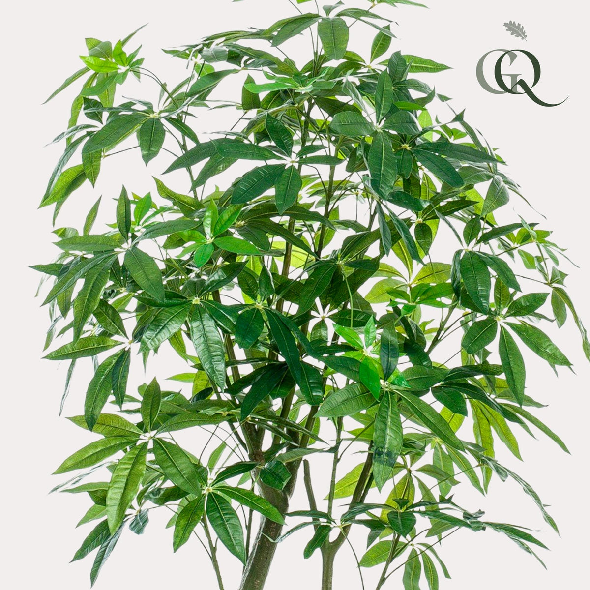 Plante artificielle - Pachira Aquatica - Arbre à monnaie - 180 cm