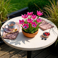 Green boutiQ - Bloembollen - Tulp Little Beauty - Kleur Donker Roze - 25 stuks - Bolmaat 6/7 - XXL Pack
