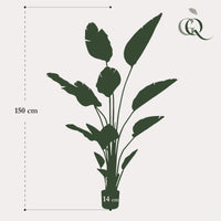 Strelitzia Nicolai - Paradiesvogelblume - 150 cm - kunstpflanze