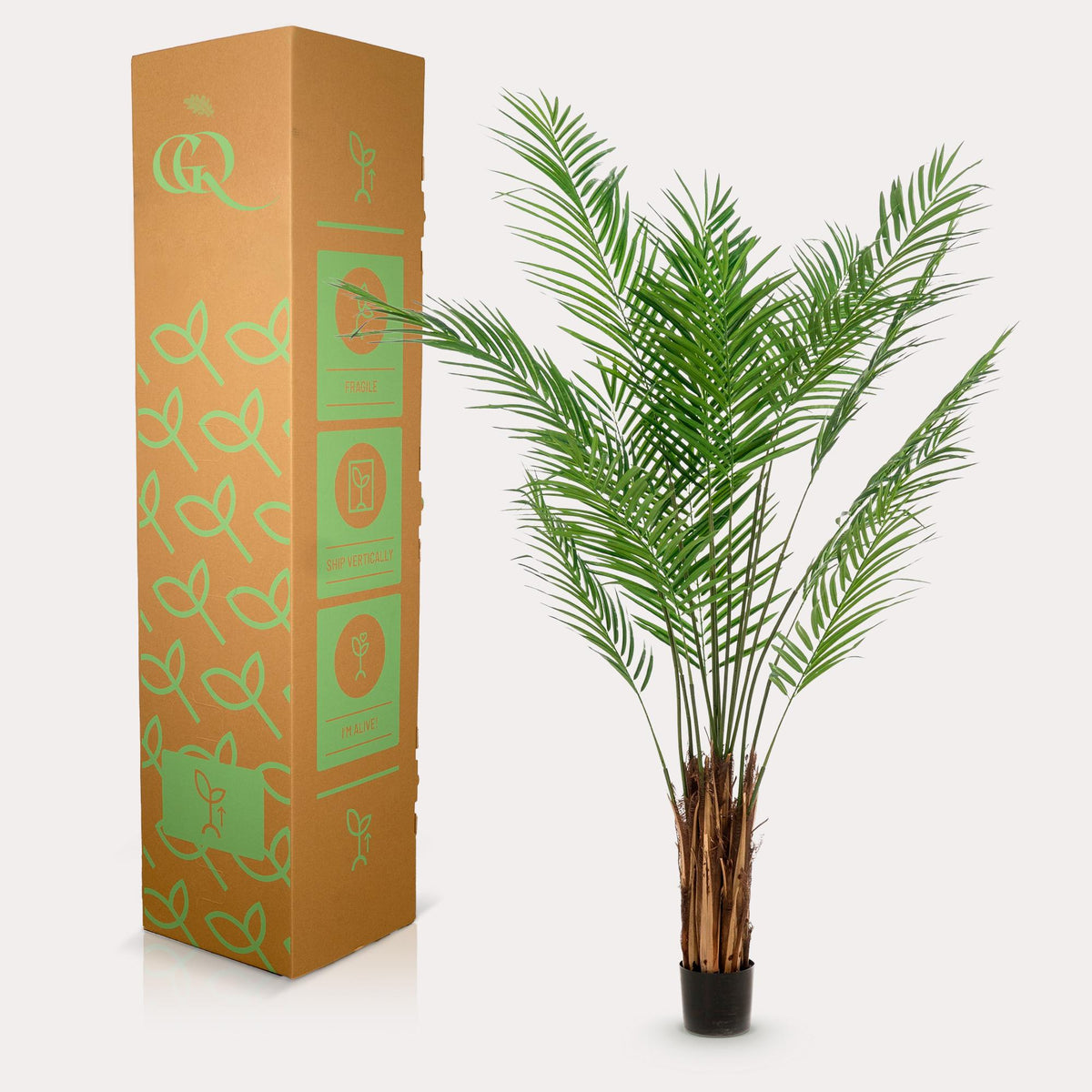 Areca Lutescens - Goldpalme - 180 cm - kunstpflanze