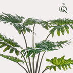 Plante artificielle - Philodendron - 60 cm