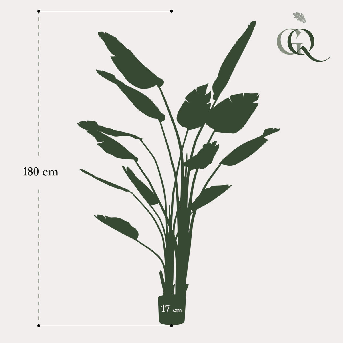 Strelitzia Nicolai - Paradiesvogelblume - 180 cm - kunstpflanze
