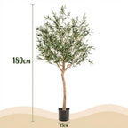 Künstlicher Olivenbaum - Olea europaea - Olivenbaum - 180 cm